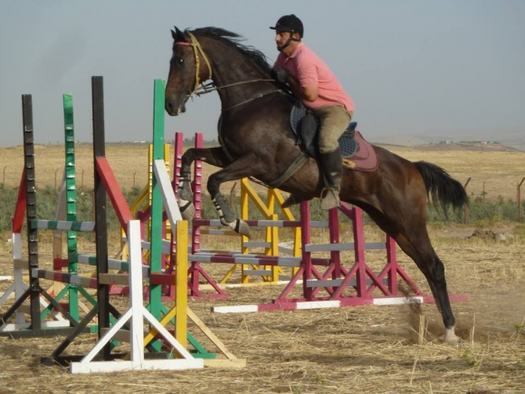 رووداوە وەرزشییە ناوەخۆییەکانی ساڵی ٢٠١٧